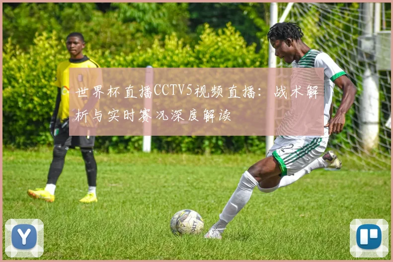 世界杯直播CCTV5视频直播：战术解析与实时赛况深度解读
